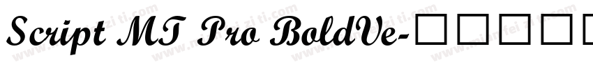 Script MT Pro BoldVe字体转换